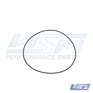 Head O-Ring Polaris 700 - 1200 96-04 OEM# 5410931,