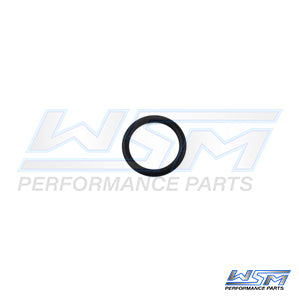 Injector O-Ring Polaris 1200 Genesis / MSX 140 03-04 OEM# 5412393