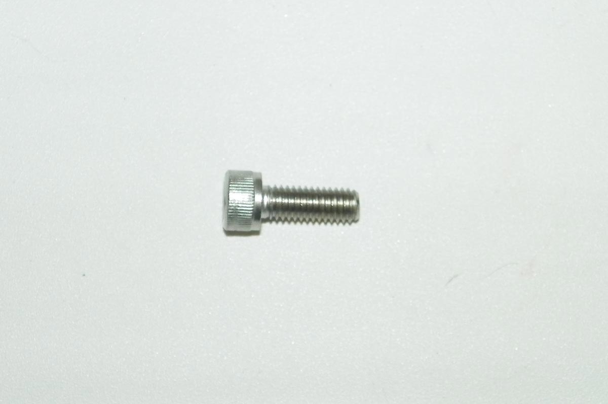 Bolt, Socket Cap 6mm x 16mm Stainless