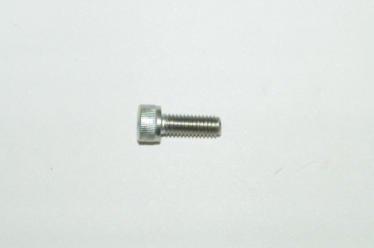 Bolt, Socket Cap; 6mm x 16mm Stainless