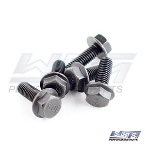 Bolt, Magneto Sea-Doo 1503 / 1630 4-Tec 03-25 OEM# 295501043,