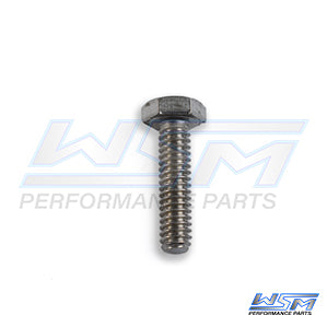 Bolt, Hex Cap 1/4'' x 3/4''