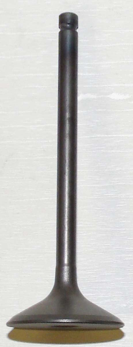 Intake Valve Kawasaki 220 - 250 Bayou 88-11 OEM# 12004-1082