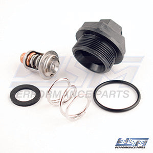 Thermostat Kit Johnson / Evinrude 90 - 250 Hp V6 90 Degree 88-01