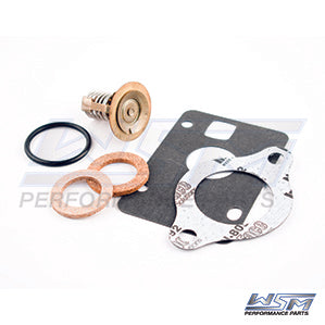 Thermostat Kit OMC 160° F OEM# 0379754,
