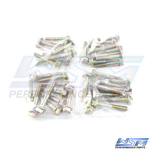 Bolts, Head Mercury 110 - 300 Hp V6 2.5L / 3L 40 Pack OEM# 10-8M0045380