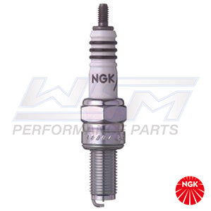 Spark Plug CR9EIX / 3521