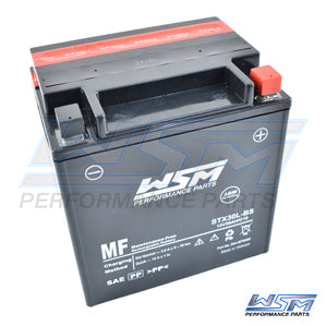 Maintece Free Battery STX30L-BS
