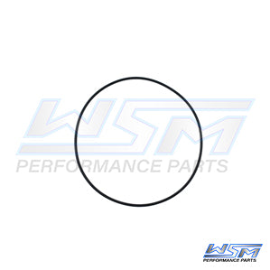 Head O-Ring Polaris 700 / 1050 96-04 OEM# 5410932