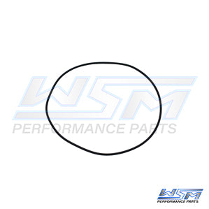 Head O-Ring Polaris 1200 MSX 140 Fuel Injected 03-04 OEM# 5411675