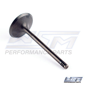 Intake Valve Sea-Doo 1503 / 1630 4-Tec 02-25 / Can-Am 500 / 650 02-05 OEM#: 420253163 âOEM#: 420253163, 420254290, 420254293, 420254294, 420254298, 711254290