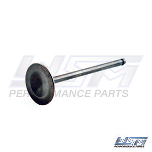Intake Valve Sea-Doo / Can-Am 900 14-25 OEM# 420855130,