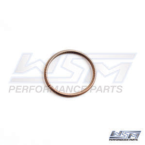 Power Valve Bellow Spring Sea-Doo 800 / 951 98-05 OEM#: 290239048 âOEM#: 290239048, 420239048, 420838253