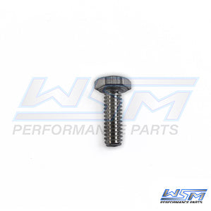 Bolt, Hex Cap 1/4'' x 1'' Stainless