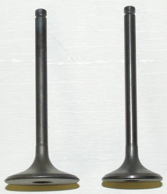 Engine Valve Kit Honda 400 TRX-FW 95-03