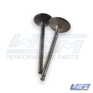 Engine Valve Kit Honda 250 TRX-EX 01-08