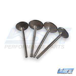 Engine Valve Kit Honda 500 TRX Foreman 05-15