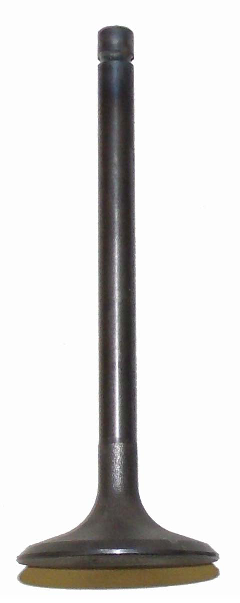 Intake Valve Kawasaki 200 - 300 81-04 OEM# 12004-1006