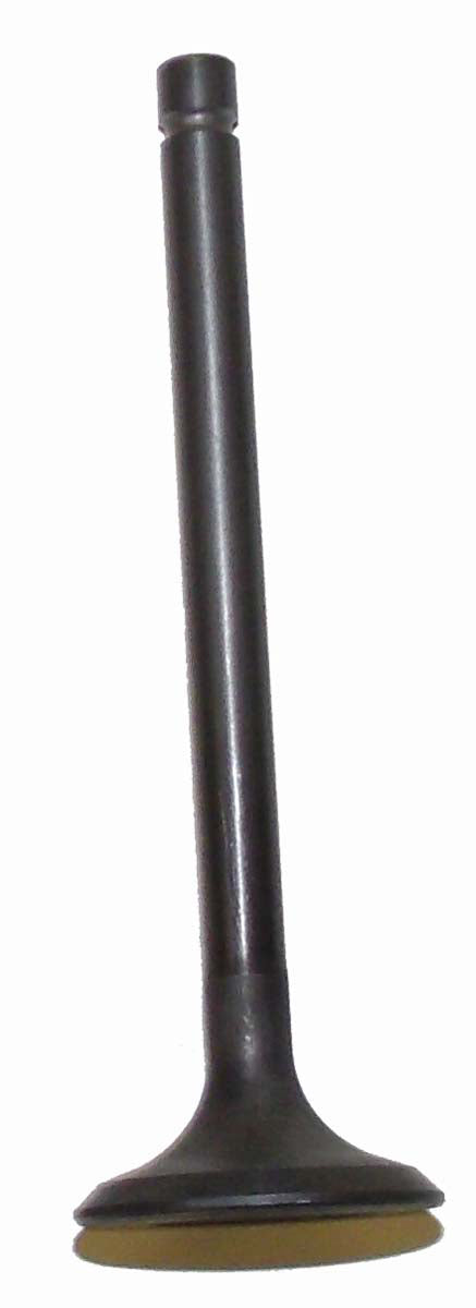Exhaust Valve Kawasaki 200 - 300 81-04 OEM# 12005-1005