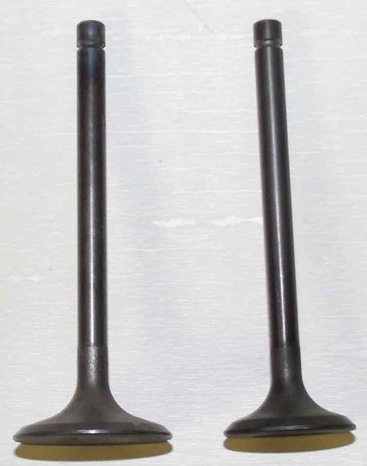 Engine Valve Kit Kawasaki 200 - 300 81-04