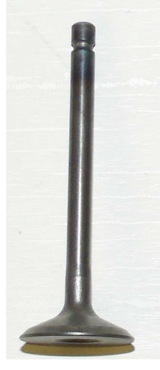 Intake Valve Yamaha 80 / 100 YFM 86-08 OEM# 22K-12111-03-00