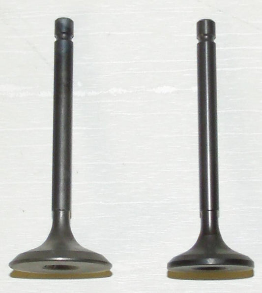 Engine Valve Kit Yamaha 125 Breeze / Grizzly 89-11