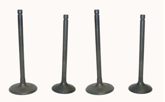 Engine Valve Kit Yamaha 700 07-25