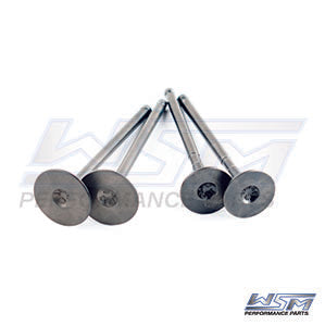 Engine Valve Kit Polaris 400 - 500 96-14