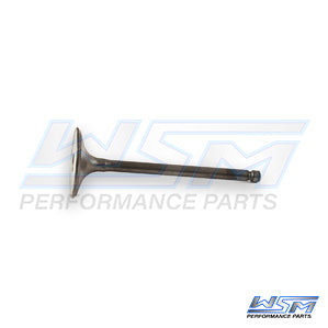 Intake Valve Polaris 550 Sportsman 09-14 OEM# 3090118