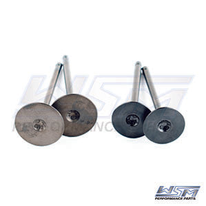 Engine Valve Kit Polaris 550 Sportsman 09-14