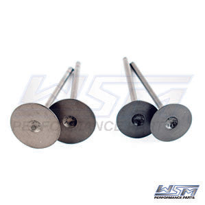 Engine Valve Kit Polaris 450 / 570 / 850 11-25 OEM#: âOEM#: