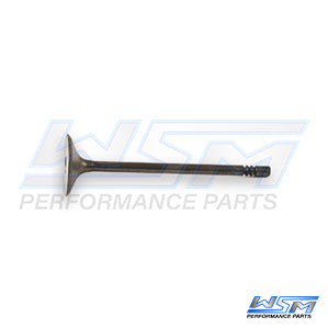 Intake Valve Polaris 700 / 800 05-16 OEM# 5136197,