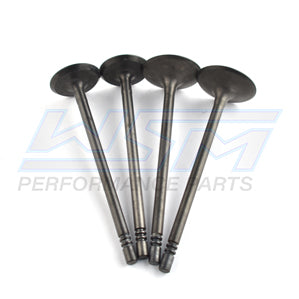 Engine Valve Kit Polaris 700 / 800 05-16