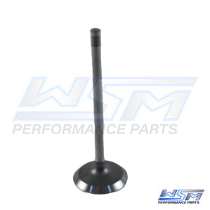 Intake Valve Can Am 330 - 1000 03-25 OEM#: 420254350 âOEM#: 420254350, 420254351, 420254352, 420254359