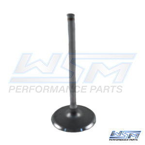 Intake Valve Can Am 450 - 1000 13-25 OEM#: 420254355 âOEM#: 420254355, 420254356, 420254357, 420254358, 420254367