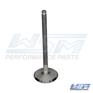 Exhaust Valve Can Am 450 - 1000 13-25 OEM#: 420855023 âOEM#: 420855023, 420855024, 420855026, 420855029