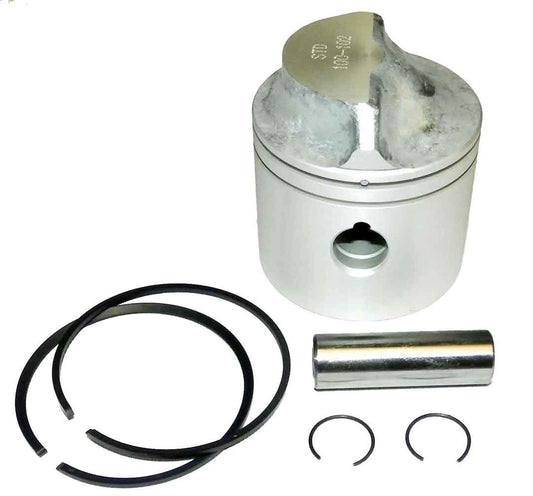 Piston Kit Johnson / Evinrude 9.9 / 15 Hp Cross Flow 93-07 Standard OEM#: 0436901 âOEM#: 0436901, 0437776, 5006692