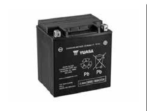 Sea-Doo 2025 and up, 100 amps (Group 27 AGM battery) - 296000465