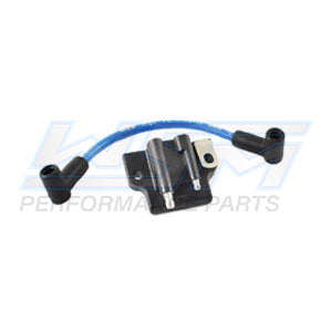 Ignition Coil Johnson / Evinrude 2 - 300 Hp 85-06 OEM# 0582508,