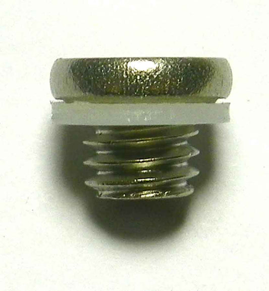 Drain Screw Johnson / Evinrude / OMC 3 - 15 Hp OEM# 0027283,