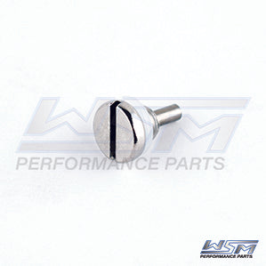 Drain Screw, Lower Fill Magnetic Johnson / Evinrude / OMC 4 - 8 / 40 - 300 Hp OEM# 0318544,
