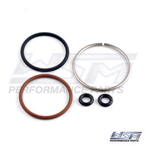 Fuel Injector Repair Kit Johnson / Evinrude 40 - 300 Hp E-Tec 04-10 OEM# 5005803,