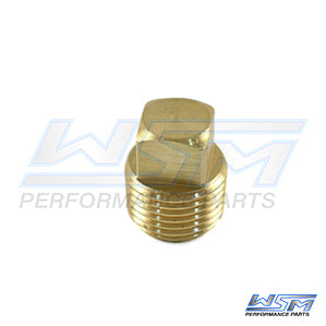 Garboard Drain Plug: Brass Plug Only OEM# 54836,