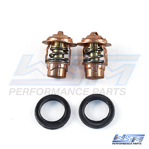Thermostat Kit Mercury 2.0 - 3.0 Liter V6 OEM# 75692Q2,