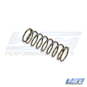 Poppet Valve Spring Mercury / Yamaha 75 - 300 Hp OEM# 24-804081,