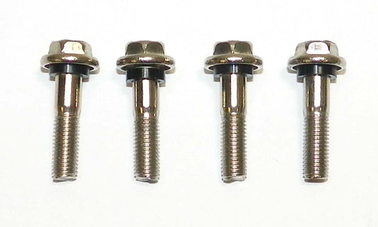 Bolts, Lower Bearing Cover Johnson / Evinrude 85 - 235 Hp (4 Pack) OEM# 0317763