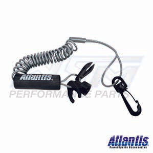 Lanyard, Standard Non DESS - Silver