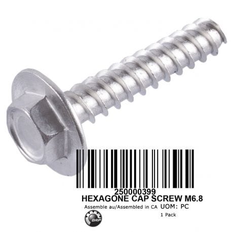 HEXAGONAL CAP SCREW M6 X35 Sea-Doo OEM# 250000399